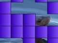 Oyun Who Am I? Animals II