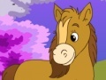 Oyun Darcy Pony Difference