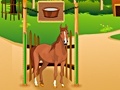 Oyun Horse Care Apprenticship