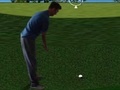 Oyun Flash Golf 3D
