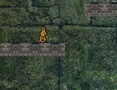Oyun Bunny Adventure