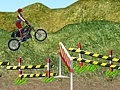 Oyun Motorcycle Rally