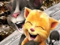 Oyun Talking Tom and Ginger Sledging