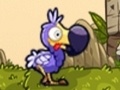 Oyun Save The Dodos