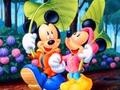 Oyun Mickey Love-HS