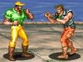 Oyun Hardest Fighter 2