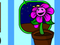 Oyun My pocket plant 