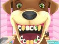 Oyun Animal Dentist 