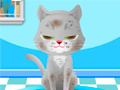 Oyun My Pet Spa