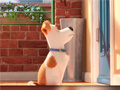 Oyun Hidden Letters in The Secret Life of Pets