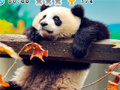 Oyun Animal Habitats: Find Items