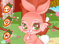 Oyun Cute Bunny
