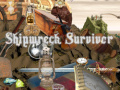 Oyun Shipwreck Survivor