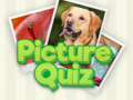 Oyun 100 Pics