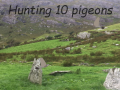 Oyun Pigeons Hunting