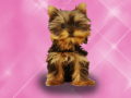 Oyun Wash Pets Princess Kids    