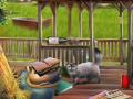 Oyun Backyard Makeover