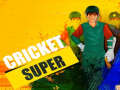 Oyun Super Cricket      