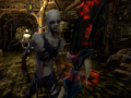 Oyun City of Fear