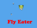 Oyun Fly Eater
