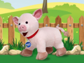 Oyun Catch The Pig