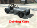 Oyun Driving Cars