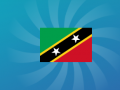 Oyun Guess The Flag
