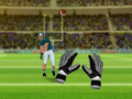 Oyun American Football Challenge