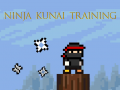 Oyun Ninja Kunai Training