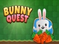 Oyun Bunny Quest