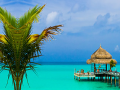 Oyun Tropical Paradise