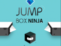 Oyun Jump Box Ninja