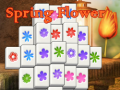 Oyun Spring Flower