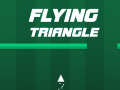 Oyun Flying Triangle