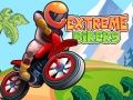 Oyun Extreme Bikers