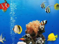 Oyun Sea Underwater Difference