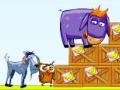 Oyun Donkey Sean