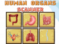 Oyun Human Organs Scanner
