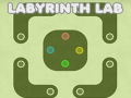 Oyun Labyrinth Lab