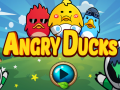 Oyun Angry Ducks