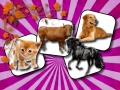 Oyun Domestic Animal Memory Challenge