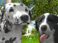 Oyun Dog Simulator 3d