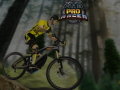 Oyun MTB Pro Racer