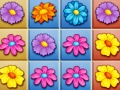 Oyun Blossom Garden Crush