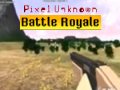 Oyun Pixel Unknown Battle Royale