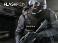 Oyun Flashpoint