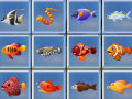 Oyun Find The Fish