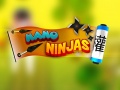 Oyun Nano Ninja 