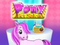 Oyun Pony Pet Salon