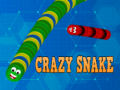 Oyun Crazy Snake